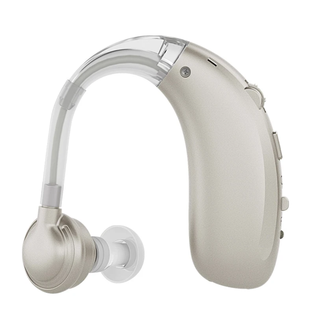 Rechargeable Noise Cancelling Dolphin Design Hearing Aid | Behind the Ear Hearing Device