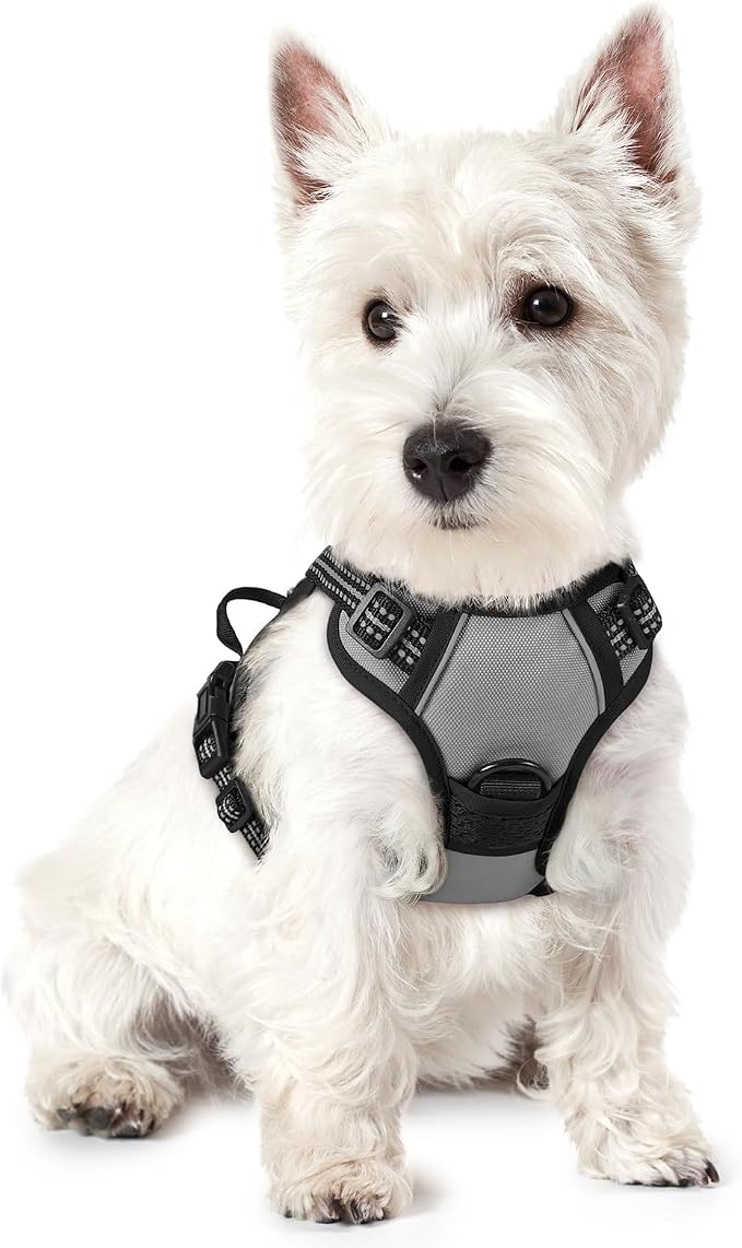 No-Pull Dog Harness with Dual Leash Clips | Premium Vest Design