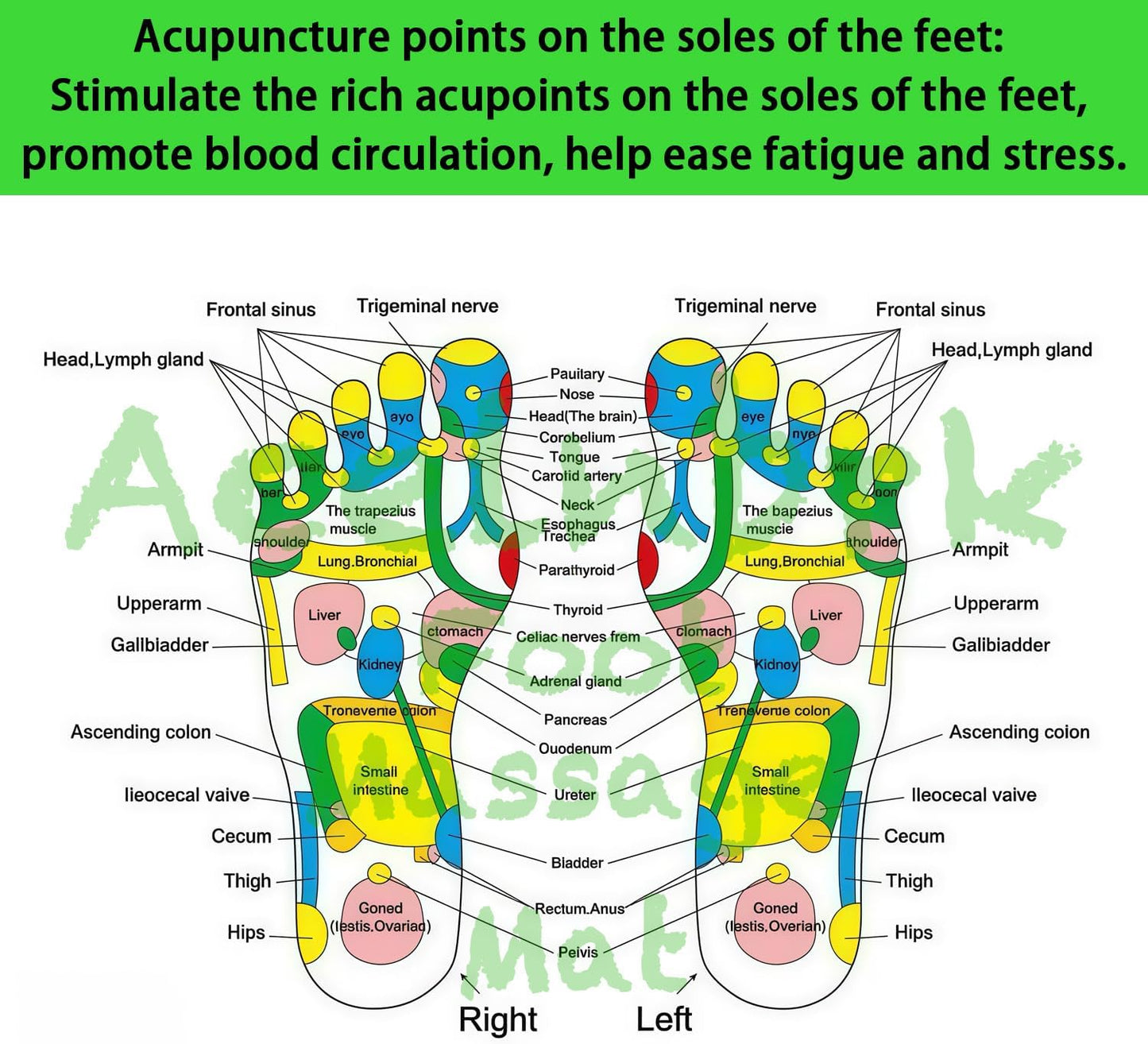 Acupressure Foot Massager Mat with Magnetic Therapy