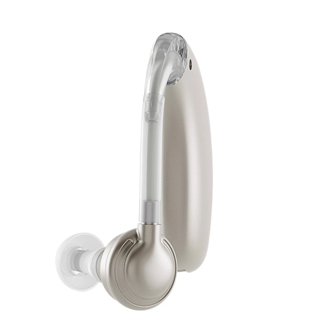 Rechargeable Noise Cancelling Dolphin Design Hearing Aid | Behind the Ear Hearing Device