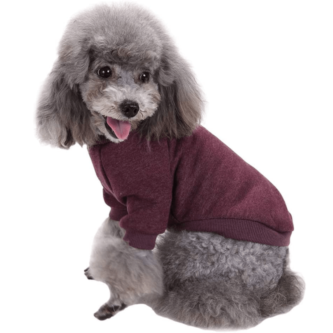 Pet Dog Knitted Sweater - TheGivenGet
