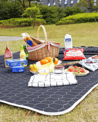 SUV Cargo Liner for Pets, Waterproof Trunk Cover - TheGivenGet