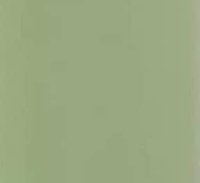 Camo Cool