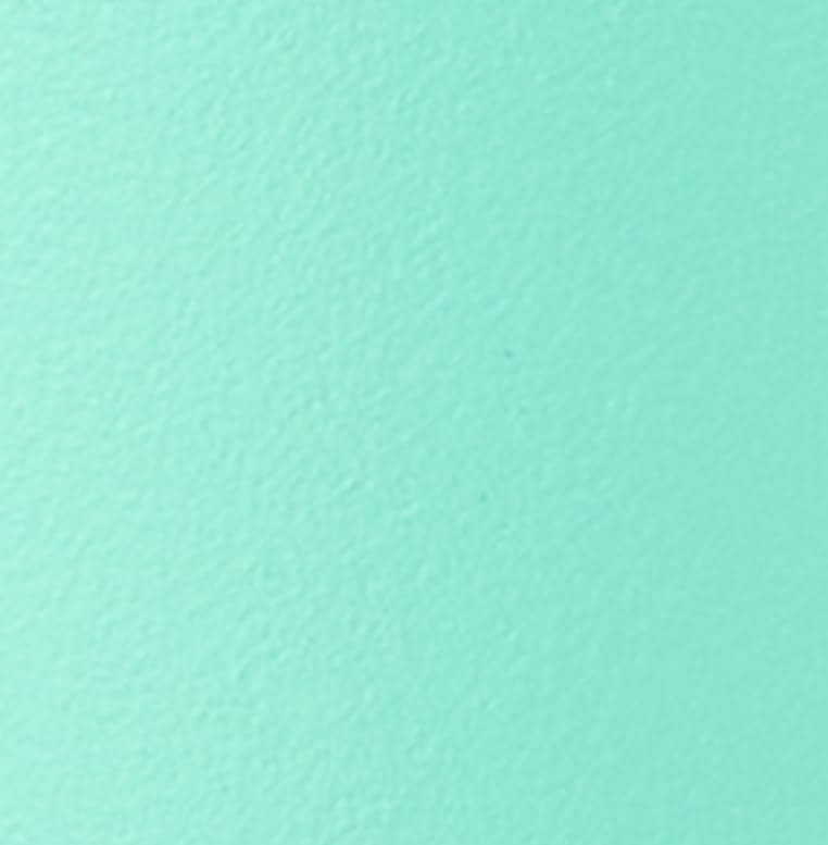 Mint Chocolate Chip