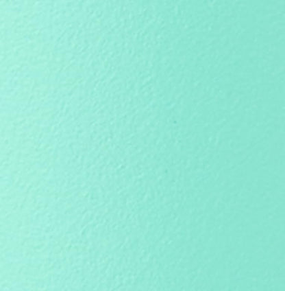 Mint Chocolate Chip