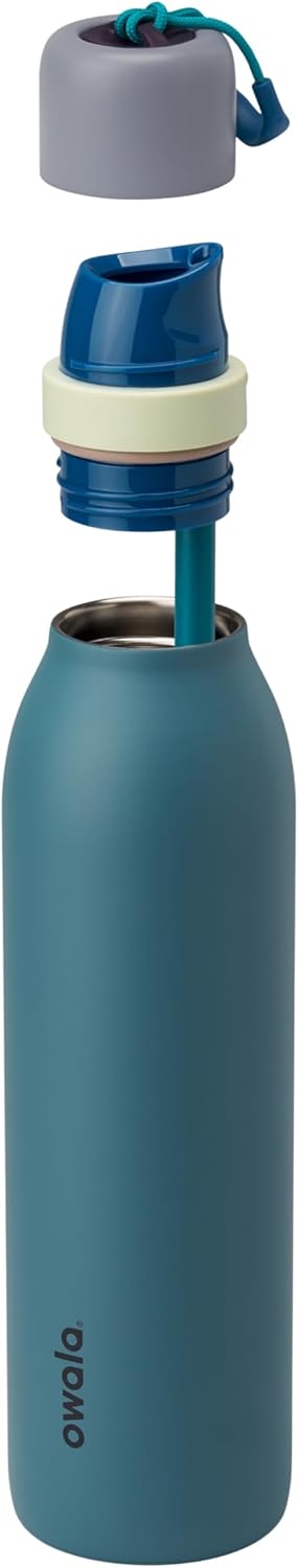 Insulated Stainless Steel Water Bottle with Straw - 24oz