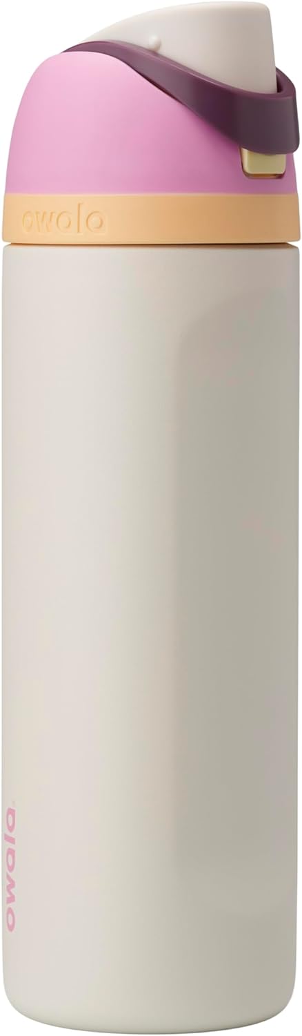 Insulated Stainless Steel Water Bottle with Straw - 24 Oz