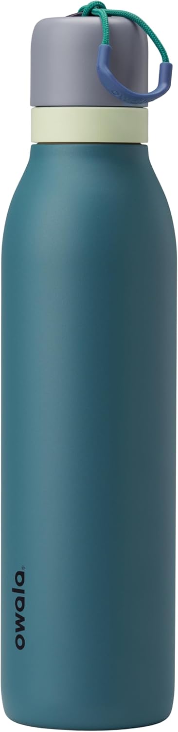 Insulated Stainless Steel Water Bottle with Straw - 24oz