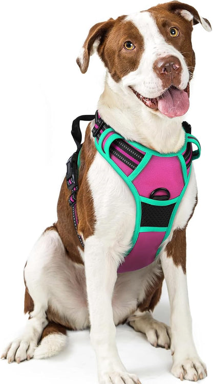 No-Pull Dog Harness with Dual Leash Clips | Premium Vest Design