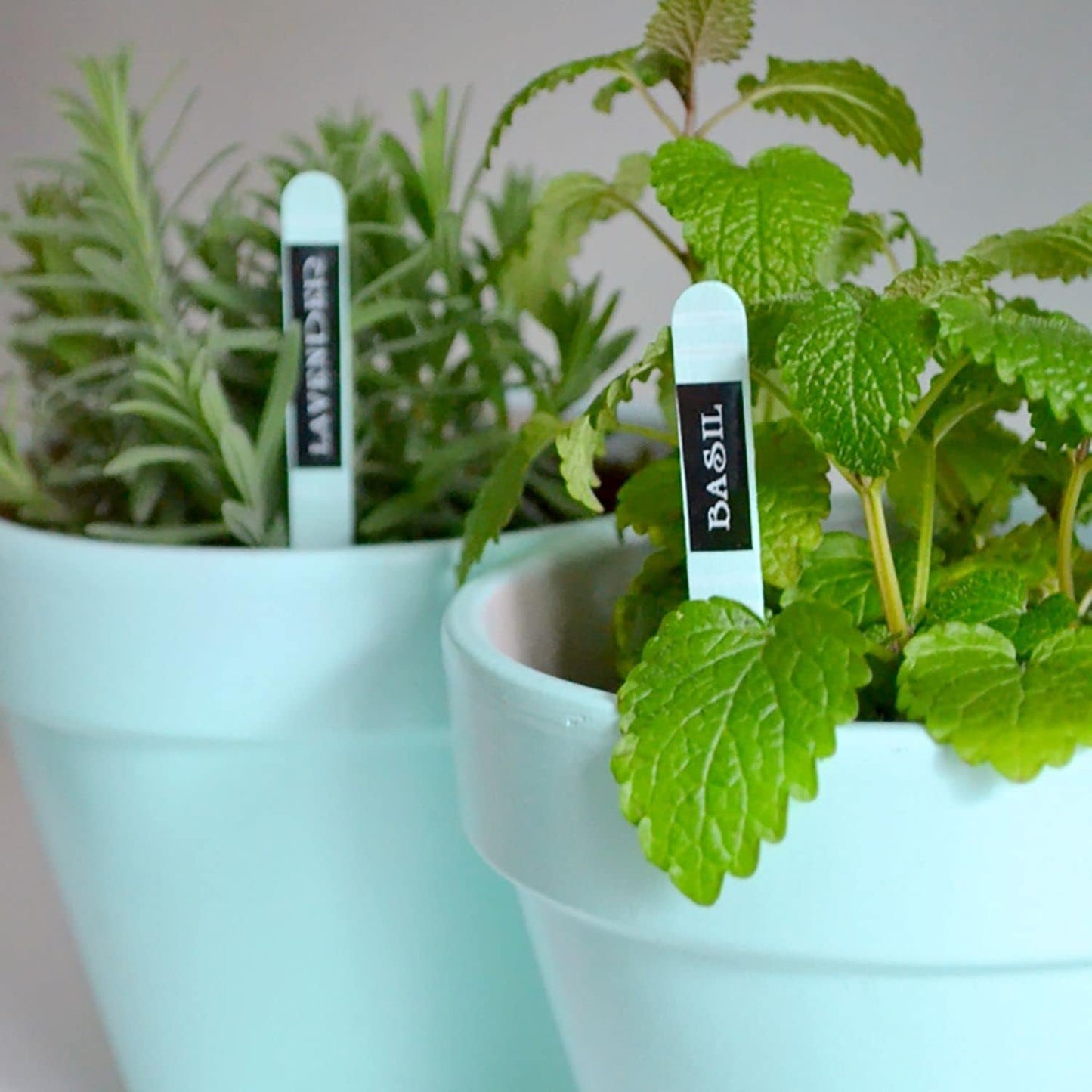 Easy-to-Use Label Maker Bundle with Tape & Accessories