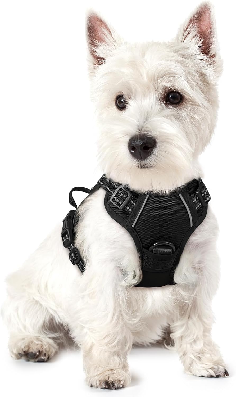 No-Pull Dog Harness with Front & Back Leash Clips
