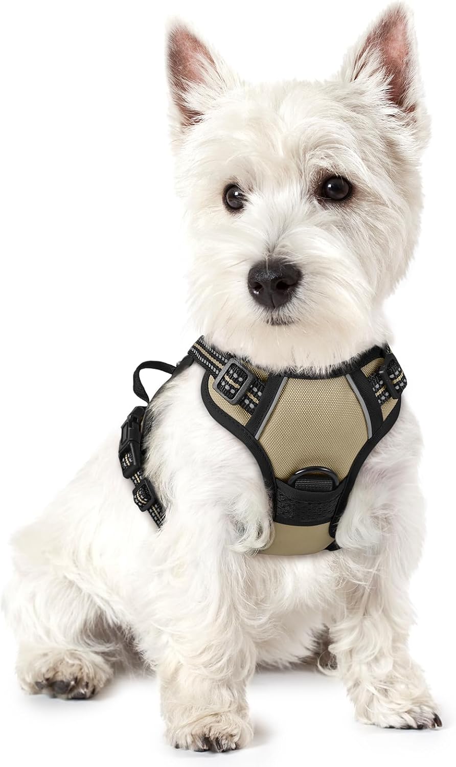 No-Pull Dog Harness with Front & Back Leash Clips