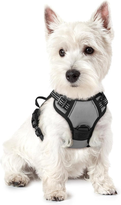 No-Pull Dog Harness with Front & Back Leash Clips