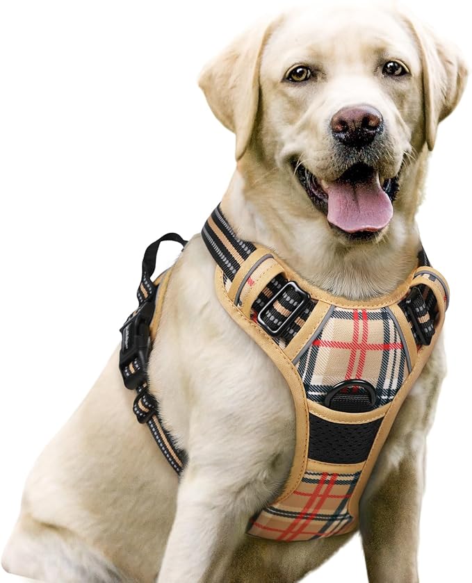 No-Pull Dog Harness with Dual Leash Clips | Premium Vest Design