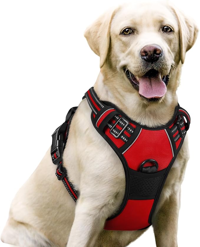 No-Pull Dog Harness with Dual Leash Clips | Premium Vest Design