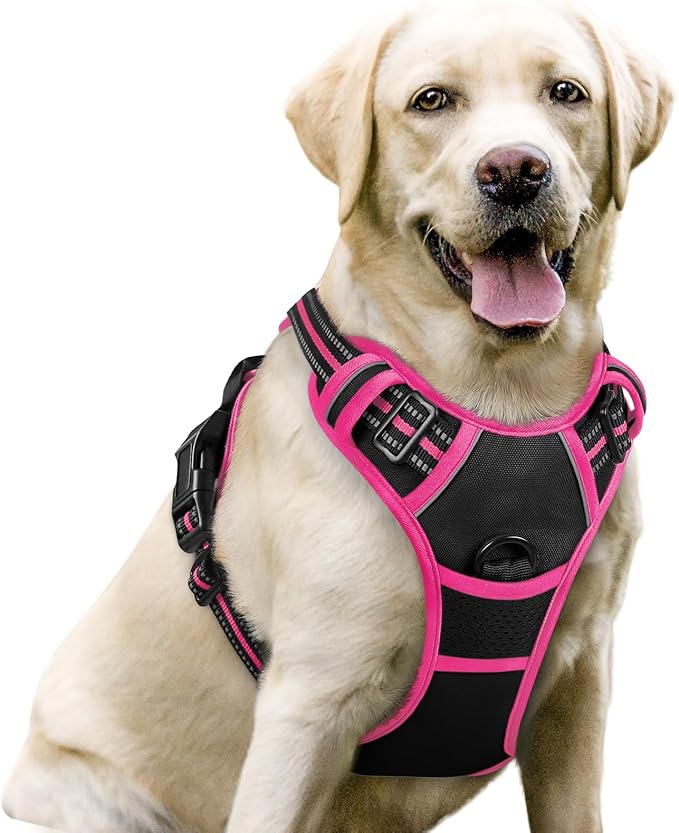 No-Pull Dog Harness with Dual Leash Clips | Premium Vest Design