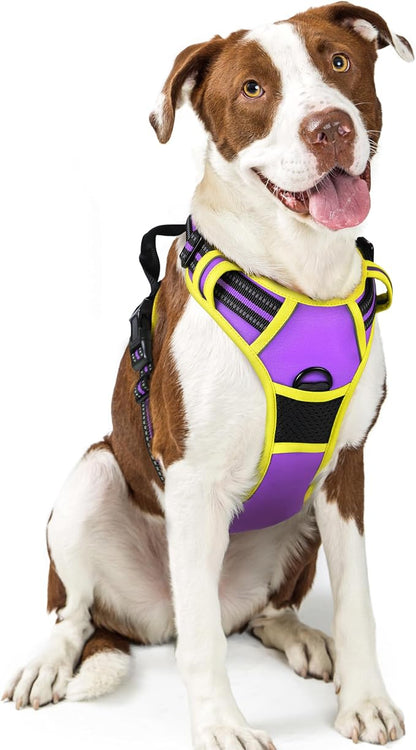 No-Pull Dog Harness with Dual Leash Clips | Premium Vest Design