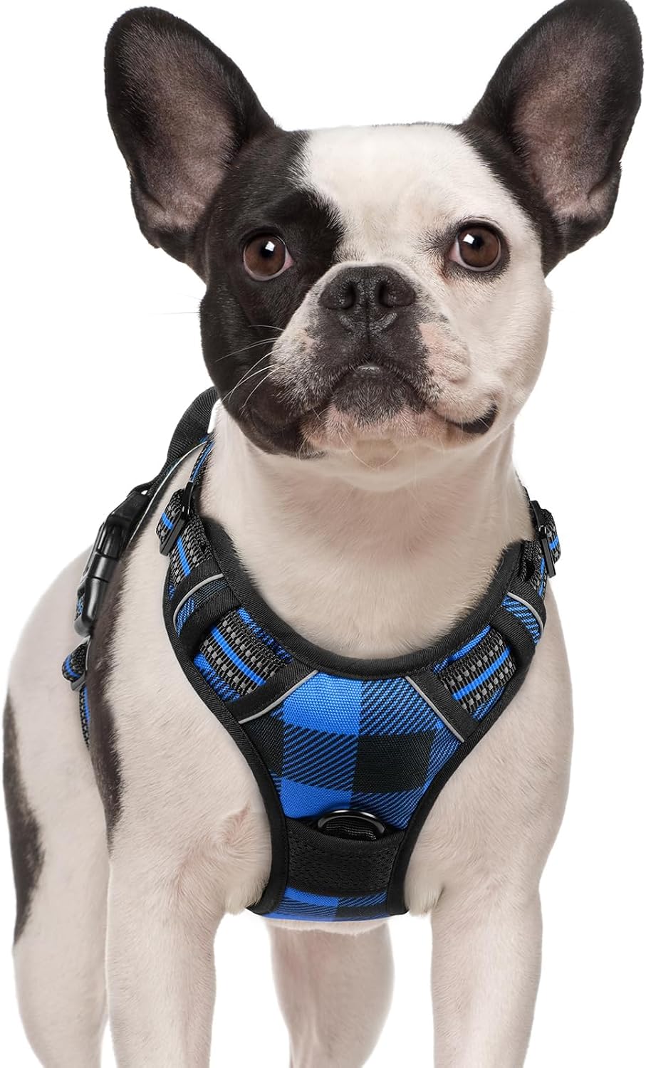 No-Pull Dog Harness with Front & Back Leash Clips