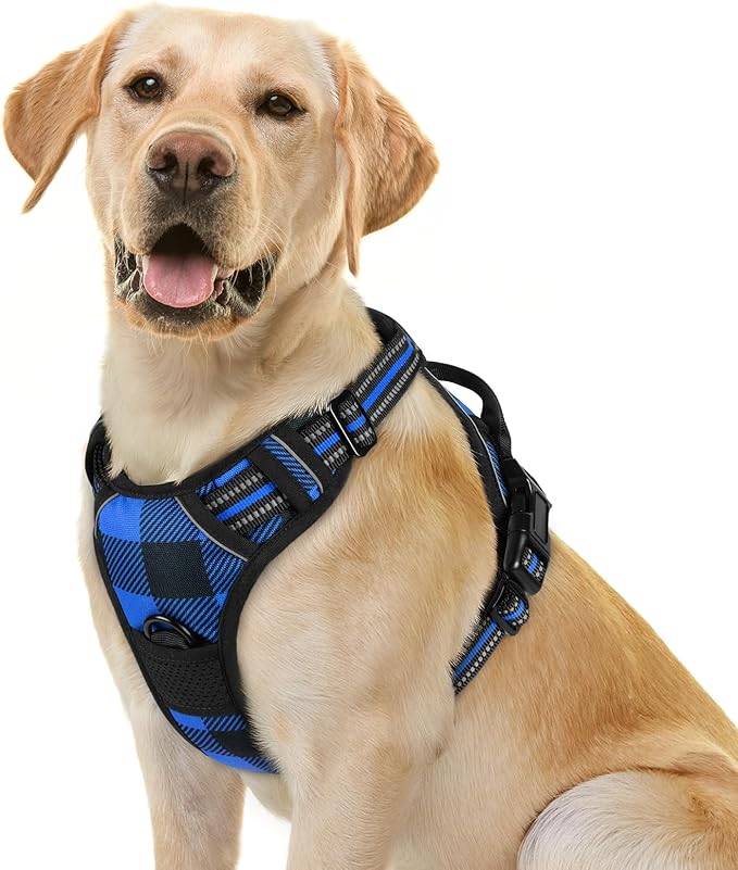 No-Pull Dog Harness with Dual Leash Clips | Premium Vest Design