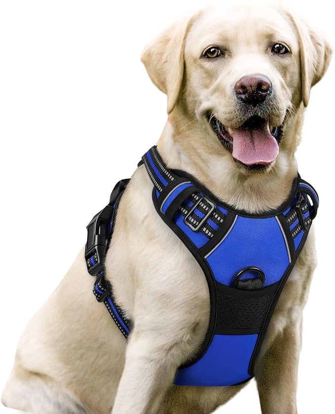 No-Pull Dog Harness with Dual Leash Clips | Premium Vest Design