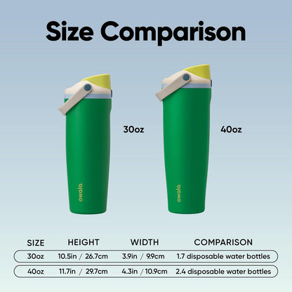 Insulated Stainless Steel Water Bottle with Two-Way Spout