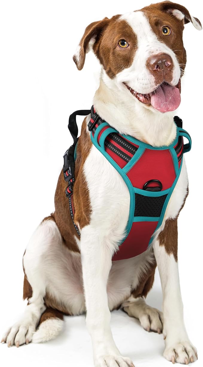 No-Pull Dog Harness with Dual Leash Clips | Premium Vest Design