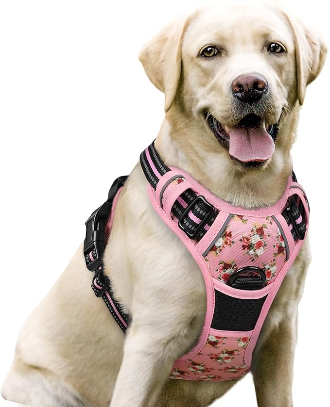 No-Pull Dog Harness with Dual Leash Clips | Premium Vest Design