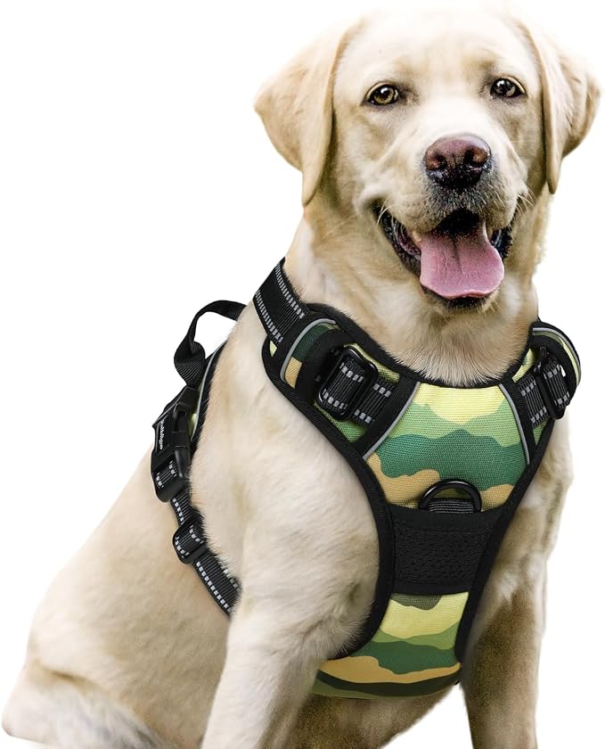 No-Pull Dog Harness with Dual Leash Clips | Premium Vest Design