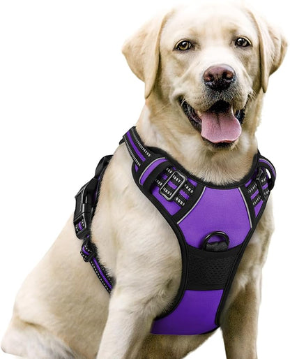 No-Pull Dog Harness with Dual Leash Clips | Premium Vest Design