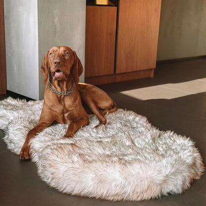 Memory Foam Dog Bed with Faux Fur Cover - Premium Orthopedic