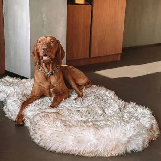 Memory Foam Dog Bed with Faux Fur Cover - Premium Orthopedic