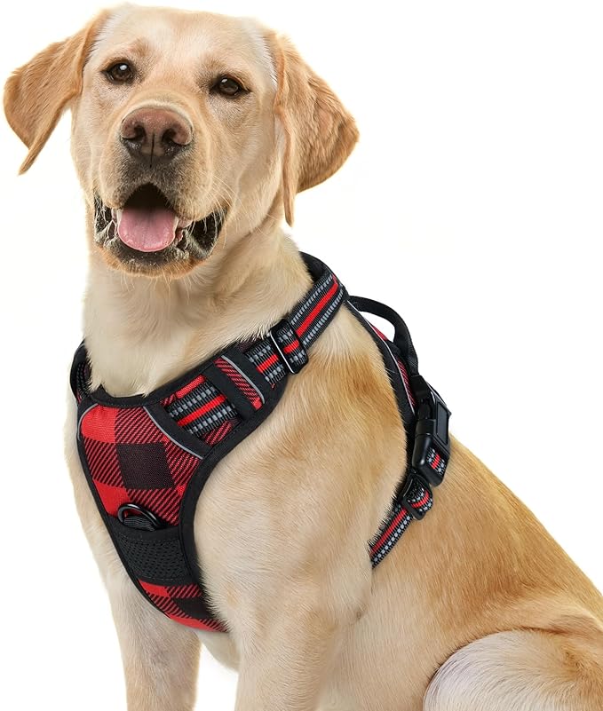 No-Pull Dog Harness with Dual Leash Clips | Premium Vest Design