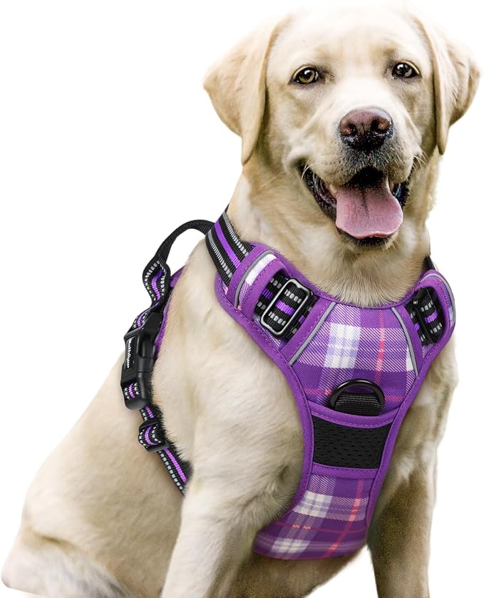 No-Pull Dog Harness with Dual Leash Clips | Premium Vest Design