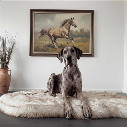 Memory Foam Dog Bed with Faux Fur Cover - Premium Orthopedic