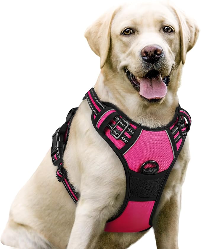 No-Pull Dog Harness with Dual Leash Clips | Premium Vest Design
