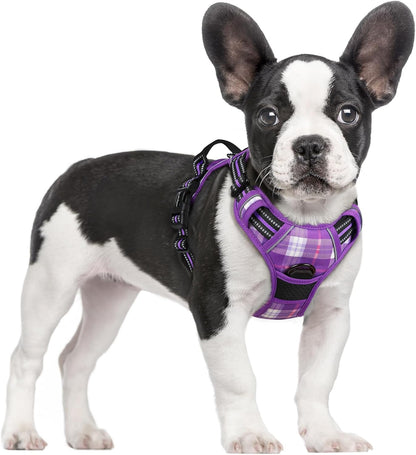No-Pull Dog Harness with Front & Back Leash Clips