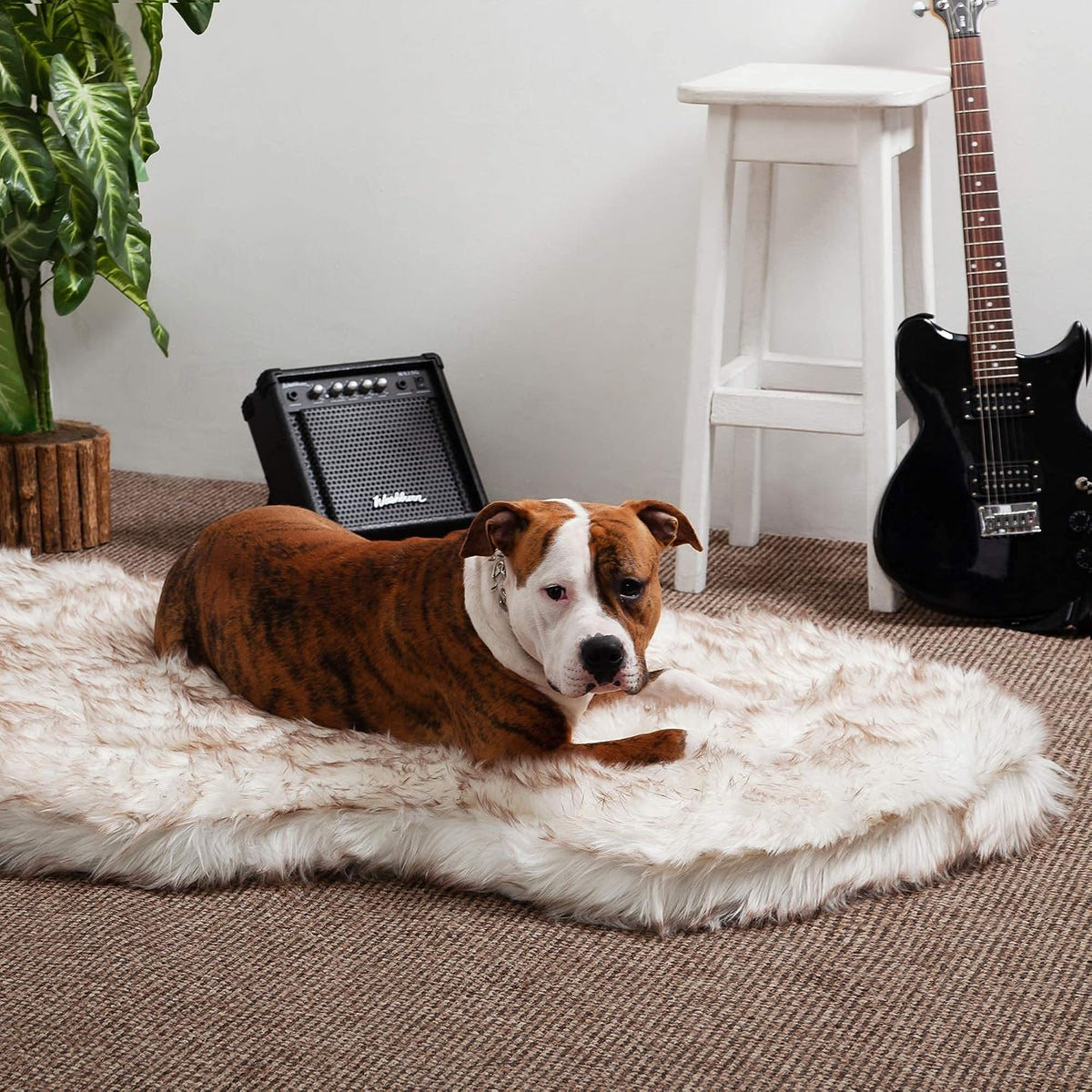 Memory Foam Dog Bed with Faux Fur Cover - Premium Orthopedic