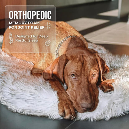 Memory Foam Dog Bed with Faux Fur Cover - Premium Orthopedic