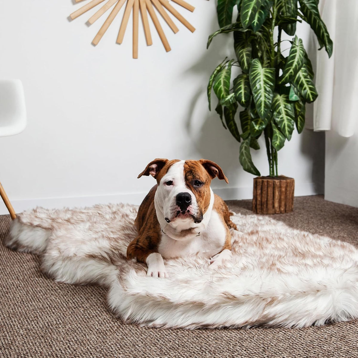 Memory Foam Dog Bed with Faux Fur Cover - Premium Orthopedic