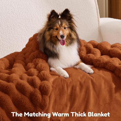 Human Dog Bed - Orthopedic Foam Nap Bed with Washable Cover