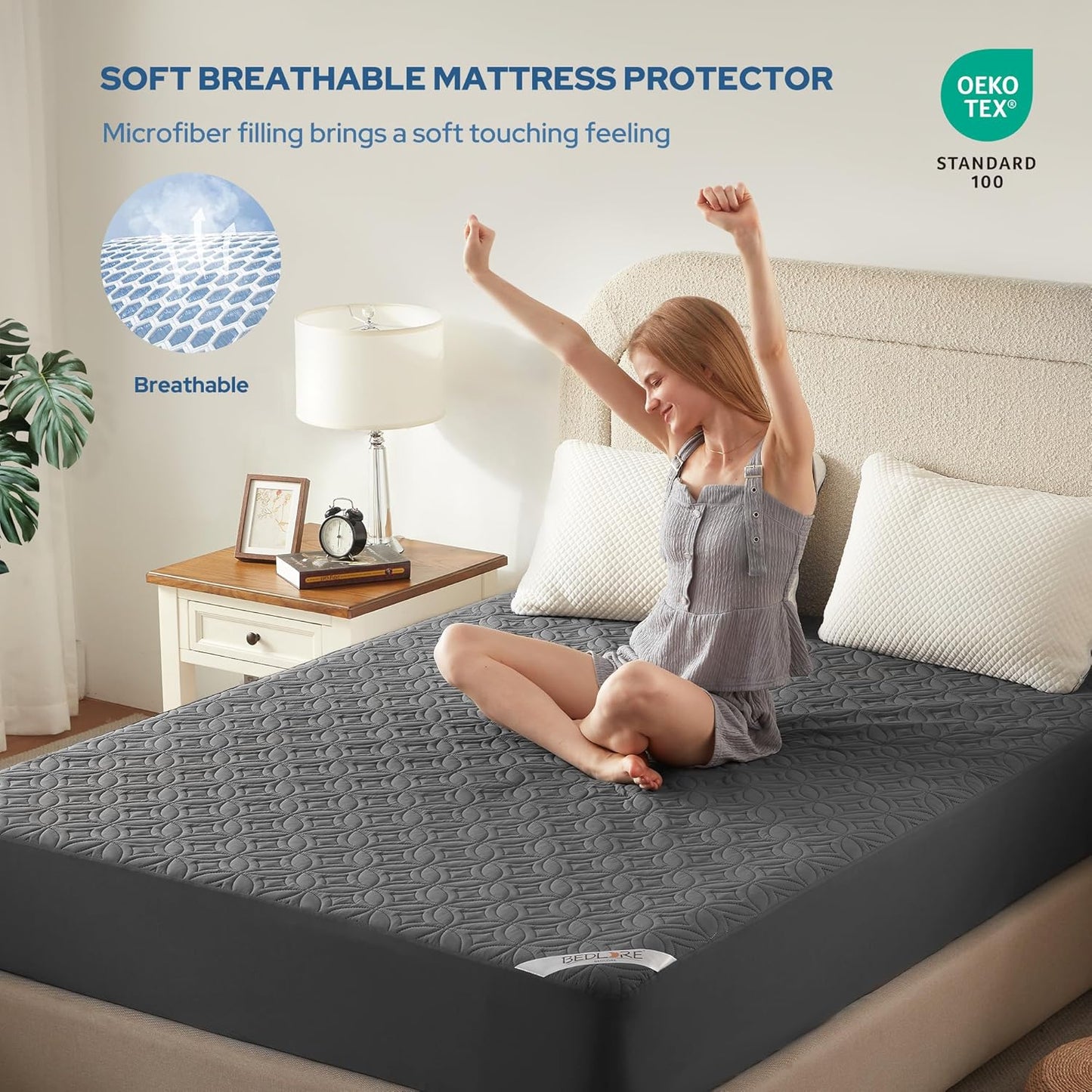 DreamGuard Queen Waterproof Mattress Protector - Silent & Soft