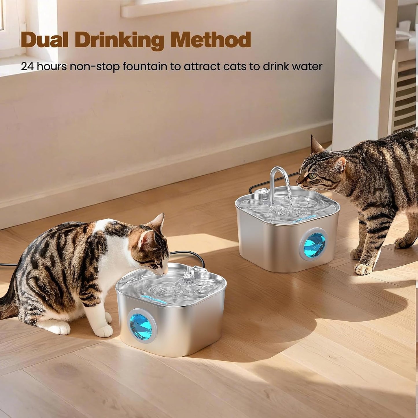 Stainless Steel Pet Water Fountain for Cats & Dogs