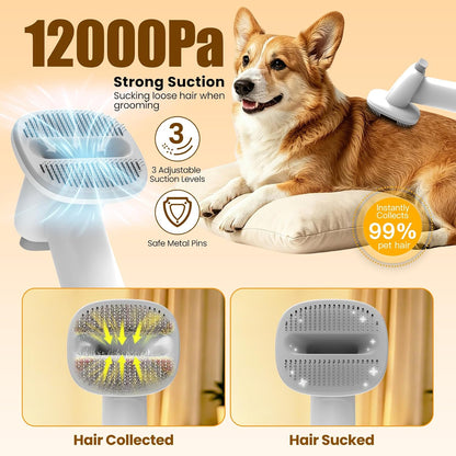 Pet Grooming Kit with Vacuum | 12000Pa Suction & Clippers