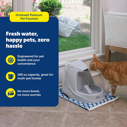 Premium Cat Water Fountain with Filtration System - 168 oz