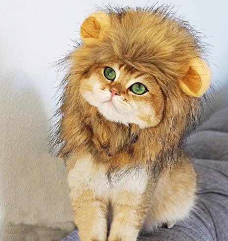 Lion Mane Costume for Cat - TheGivenGet