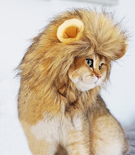 Lion Mane Costume for Cat - TheGivenGet