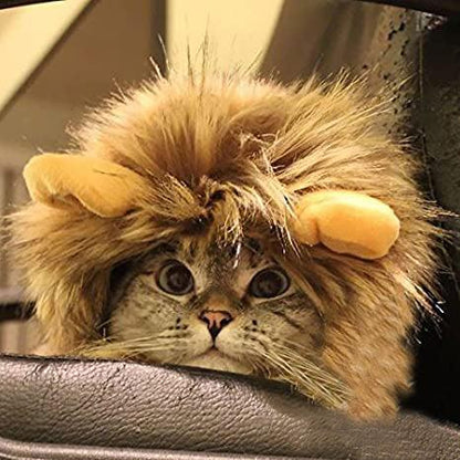 Lion Mane Costume for Cat - TheGivenGet