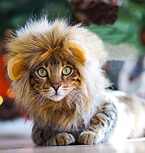 Lion Mane Costume for Cat - TheGivenGet