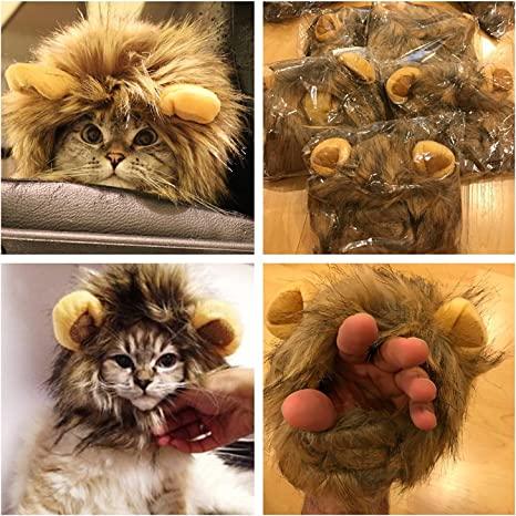 Lion Mane Costume for Cat - TheGivenGet