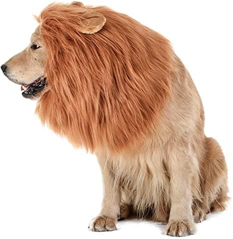 Lion Mane Realistic & Funny Costumes for Medium to Large Sized Dogs - TheGivenGet